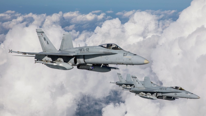 Marine Hornets