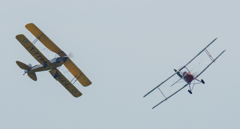 de Havilland DH.82 Tiger Moths